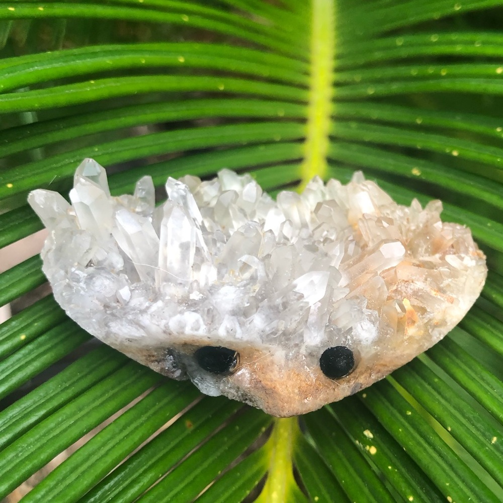 Super cute carved clear Crystal hedgehog buddy